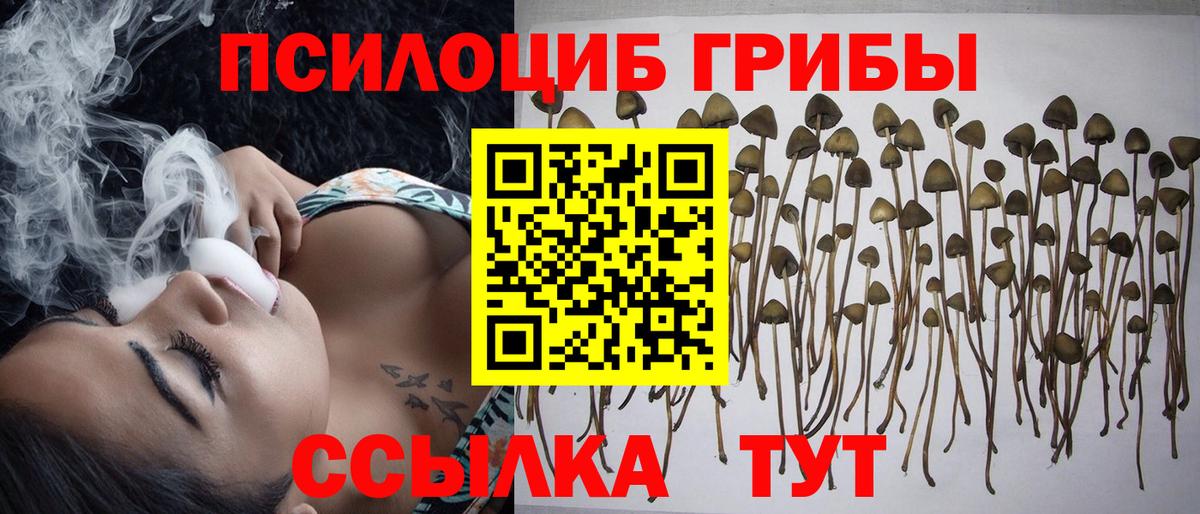 Псилоцибиновые грибы мухоморы Георгиевск