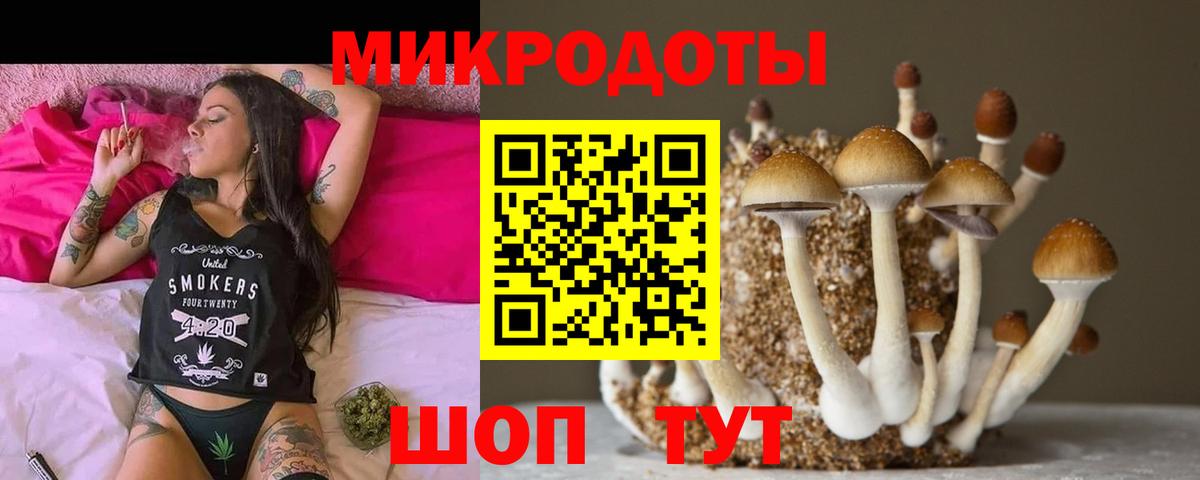 Георгиевск  как найти закладки  Вход с VPN  Галлюциногенные грибы Cubensis 